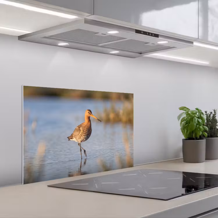 Spatscherm keuken - Vogel - Steltloper - Water - Natuur — 1