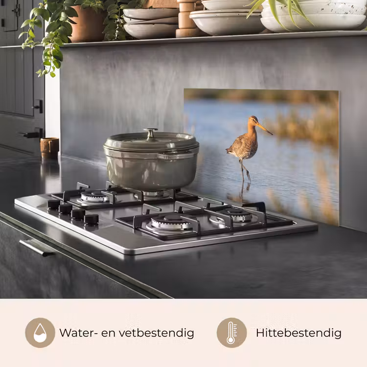 Spatscherm keuken - Vogel - Steltloper - Water - Natuur — 2