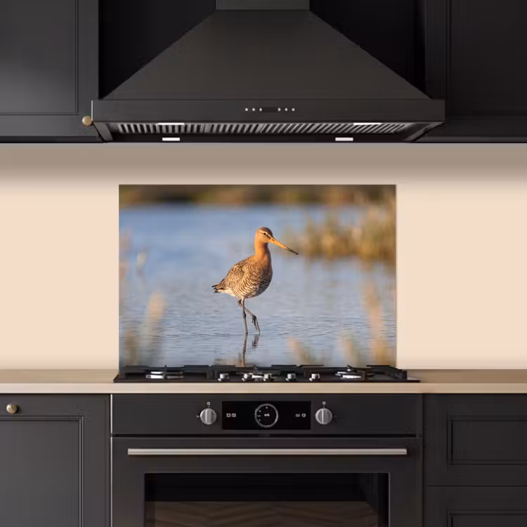 Spatscherm keuken - Vogel - Steltloper - Water - Natuur — 5