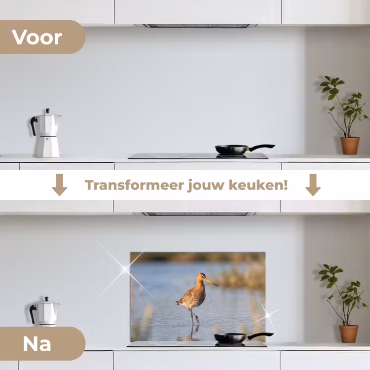 Spatscherm keuken - Vogel - Steltloper - Water - Natuur — 7