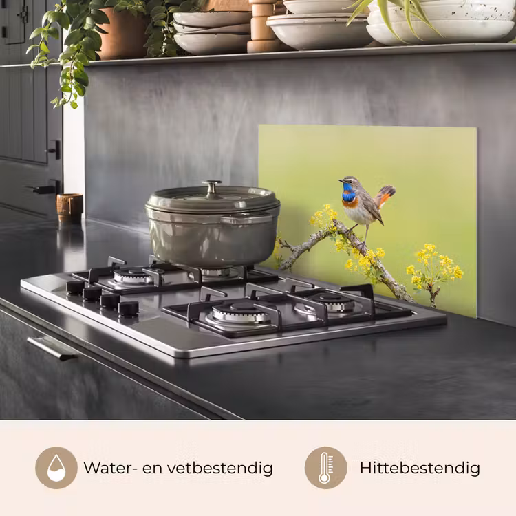 Spatscherm keuken - Vogel - Tak - Natuur - Kleurrijk — 2