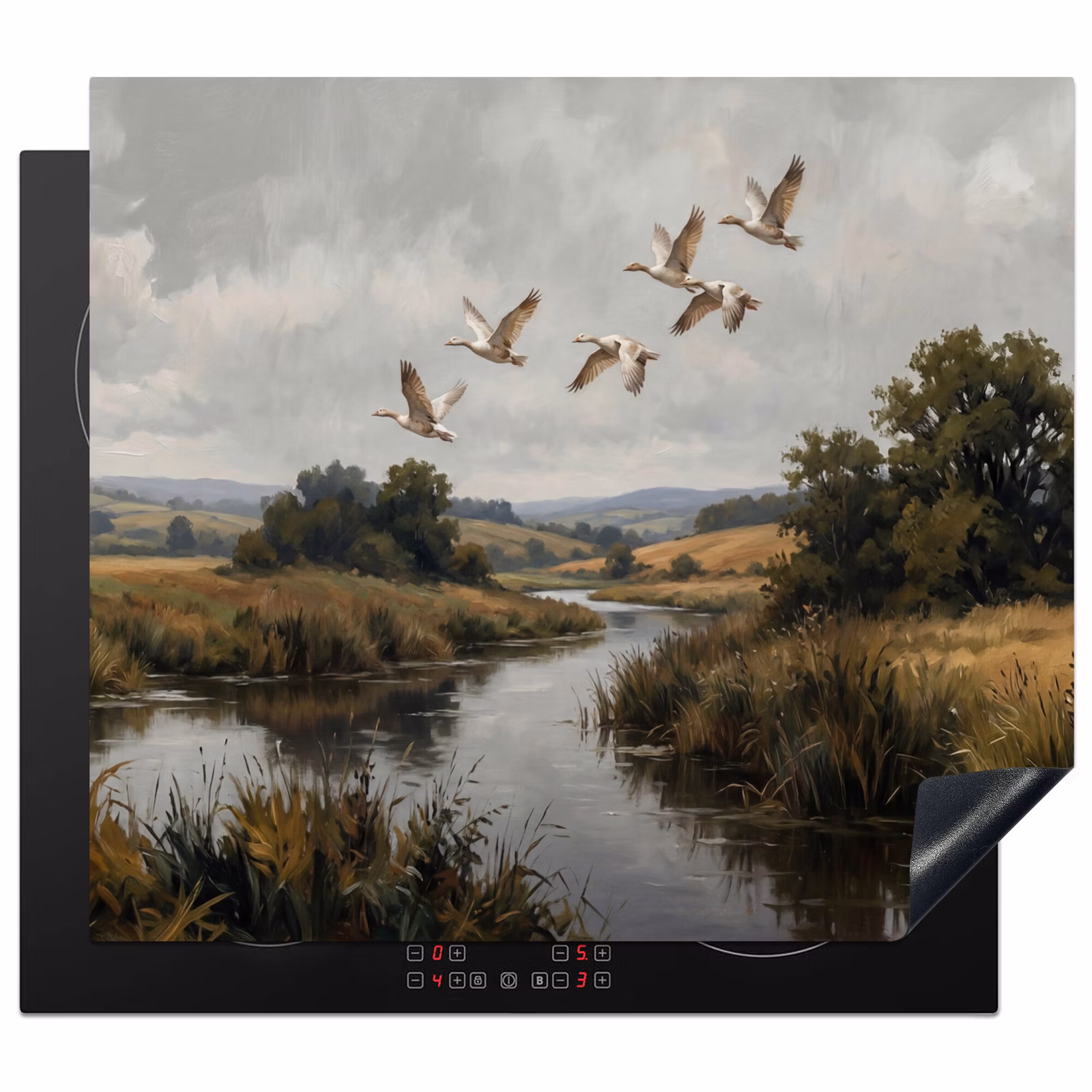 Inductie beschermer - Eenden - Rivier - Landschap - Vlucht - Nostalgisch — 1