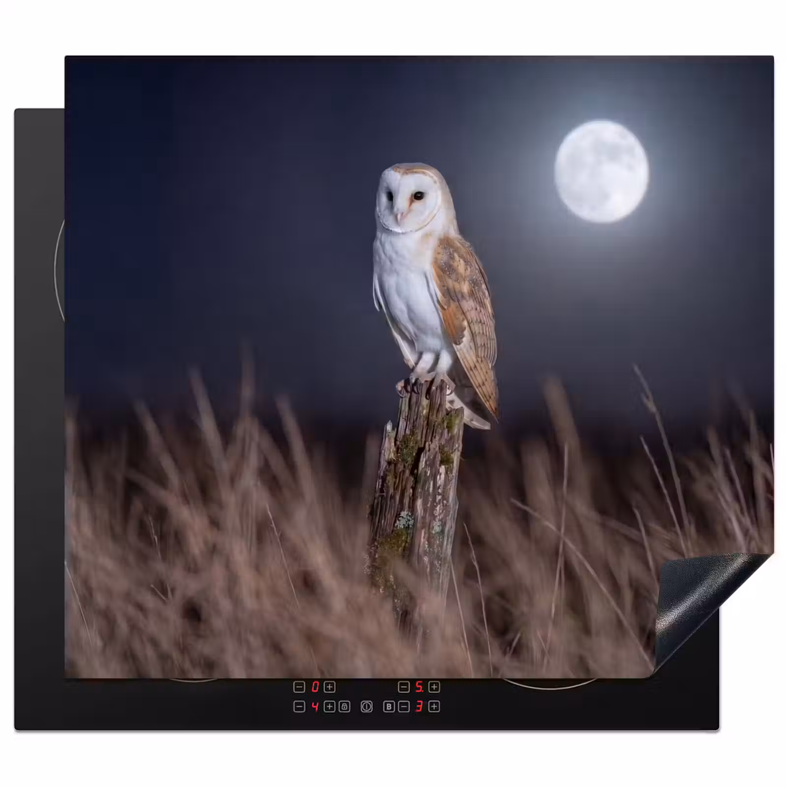 Inductie beschermer - Kerkuil - Maan - Nacht — 1