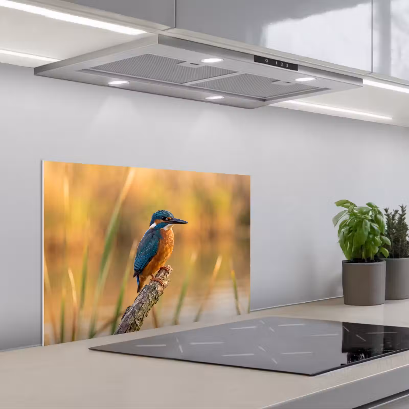 Spatscherm keuken - IJsvogel - Tak - Water - Kleurrijk - Levendig — 1