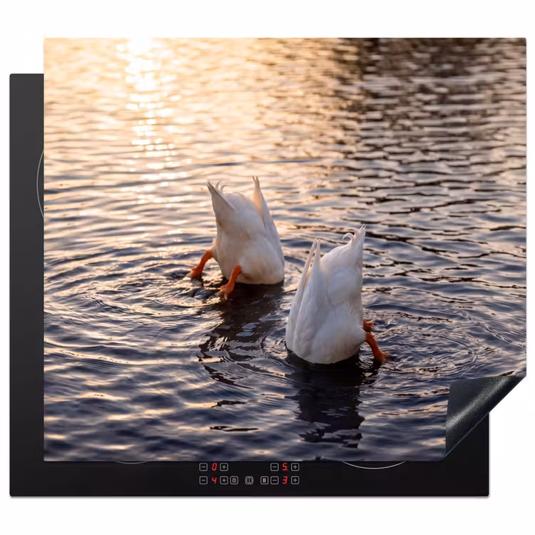 Inductie beschermer - Eenden - Water - Natuur — 1