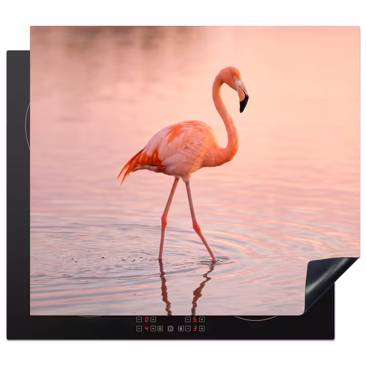 Inductie beschermer - Flamingo - Water - Roze — 1