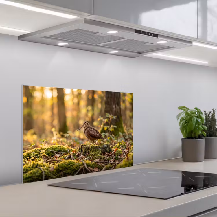 Spatscherm keuken - Houtsnip - Bos - Bladeren - Herfst - Gecamoufleerd — 1