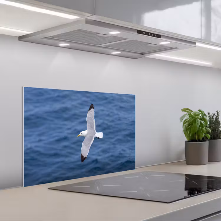 Spatscherm keuken - Zeemeeuw - Oceaan - Blauw — 1