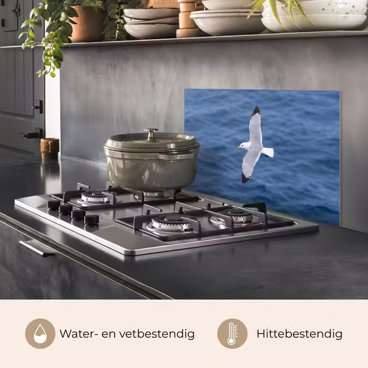 Spatscherm keuken - Zeemeeuw - Oceaan - Blauw — 2