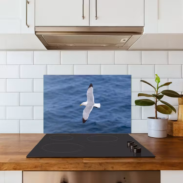 Spatscherm keuken - Zeemeeuw - Oceaan - Blauw — 3