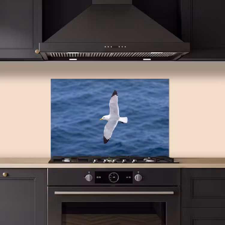 Spatscherm keuken - Zeemeeuw - Oceaan - Blauw — 5