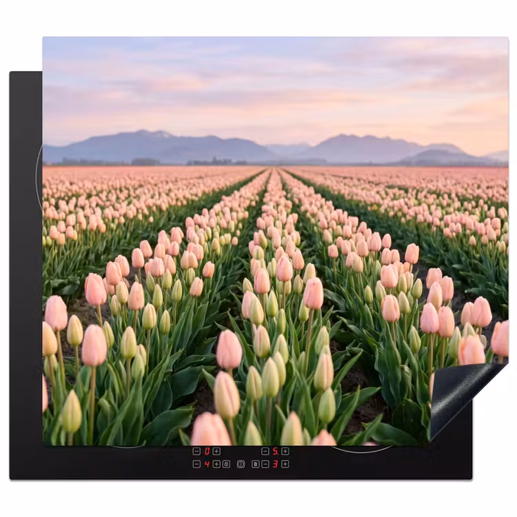 Inductie beschermer - Tulpen - Landschap - Roze — 1