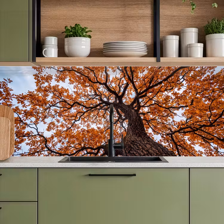 Keuken achterwand - Boom - Bladerdak - Herfst - Oranje - Sfeervol — 7