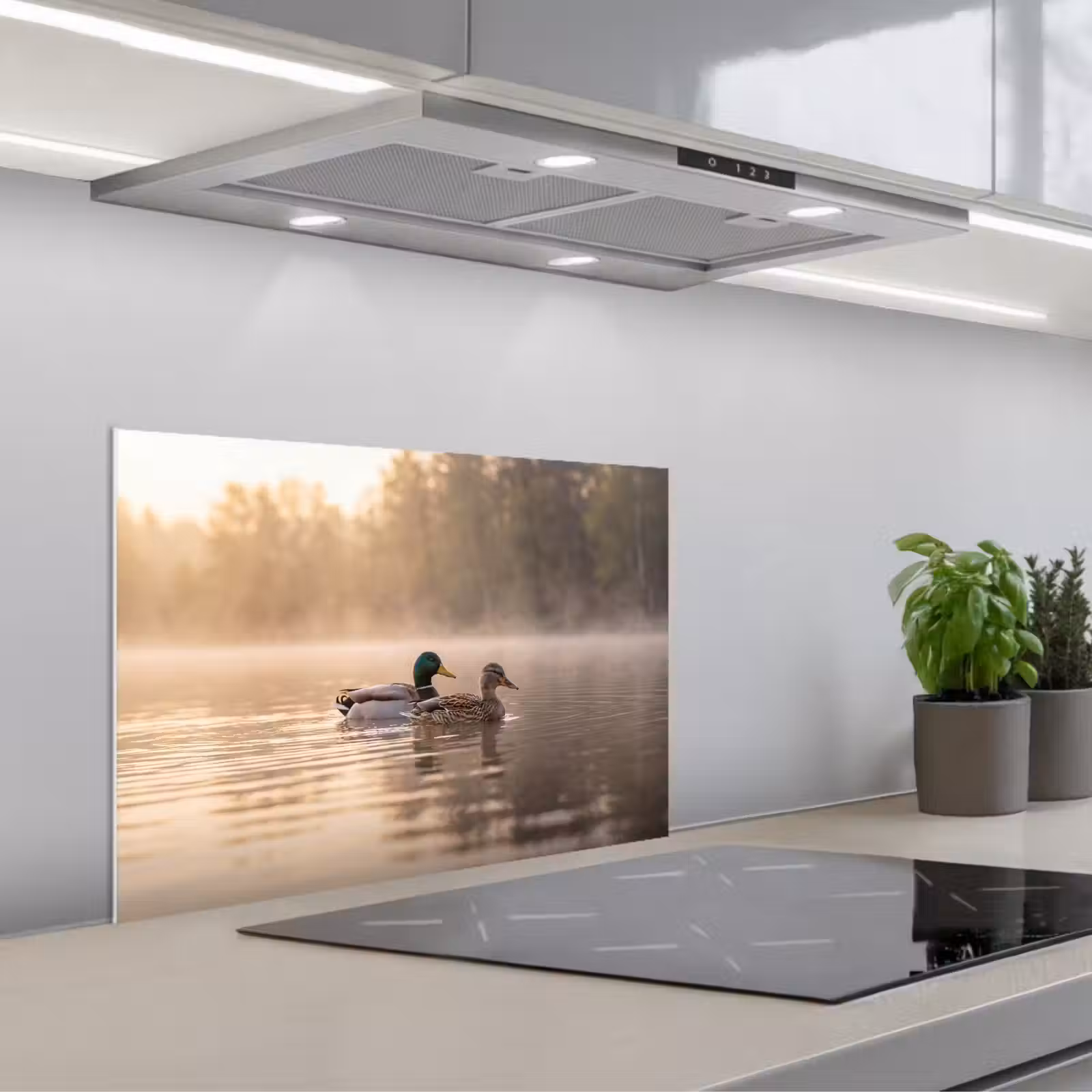 Spatscherm keuken - Eenden - Water - Mist - Natuur — 1