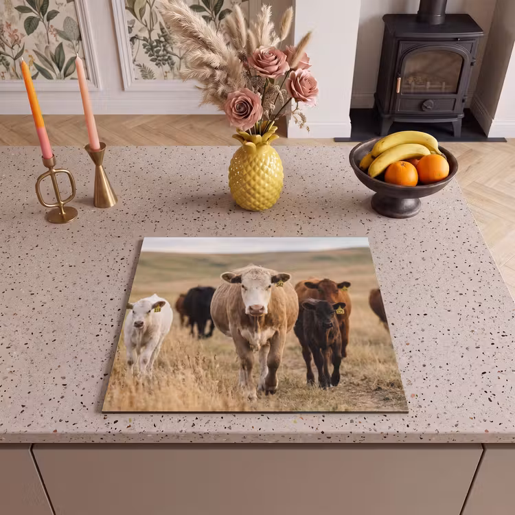 Inductie beschermer - Runderen - Kudde - Landschap - Weide - Rustig — 3