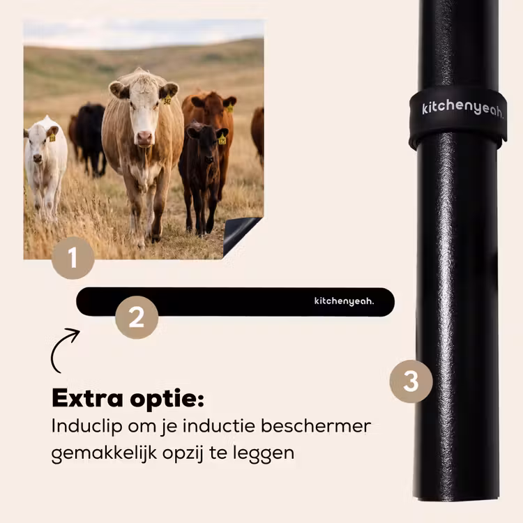 Inductie beschermer - Runderen - Kudde - Landschap - Weide - Rustig — 8
