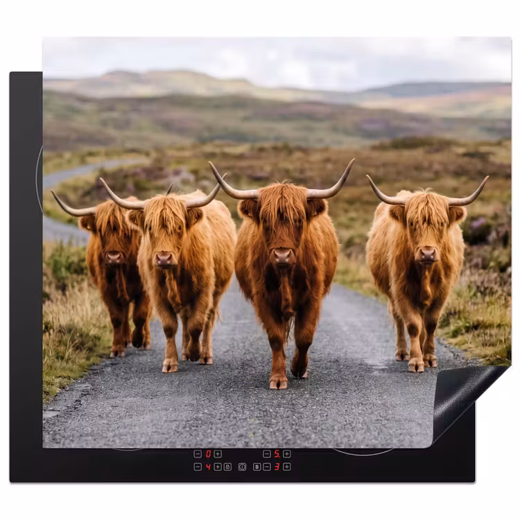 Inductie beschermer - Schotse Hooglanders - Weg - Landschap - Kudde — 1