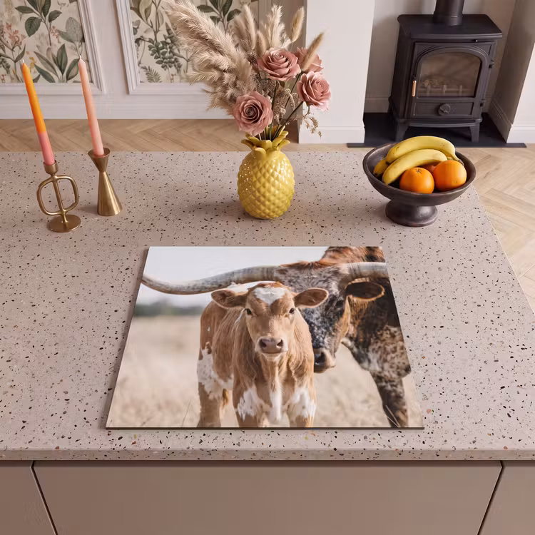 Inductie beschermer - Texas Longhorn - Kalf - Weide - Dieren — 3
