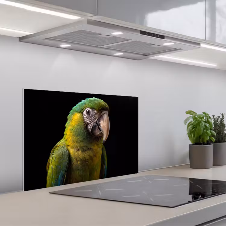 Spatscherm keuken - Ara - Portret - Groen — 1
