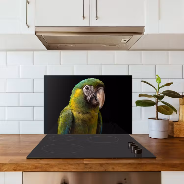Spatscherm keuken - Ara - Portret - Groen — 3