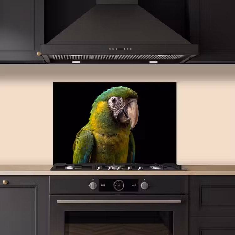 Spatscherm keuken - Ara - Portret - Groen — 5