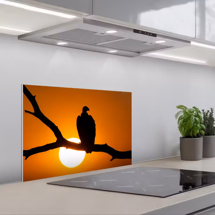 Spatscherm keuken - Gier - Tak - Zon - Oranje — 1