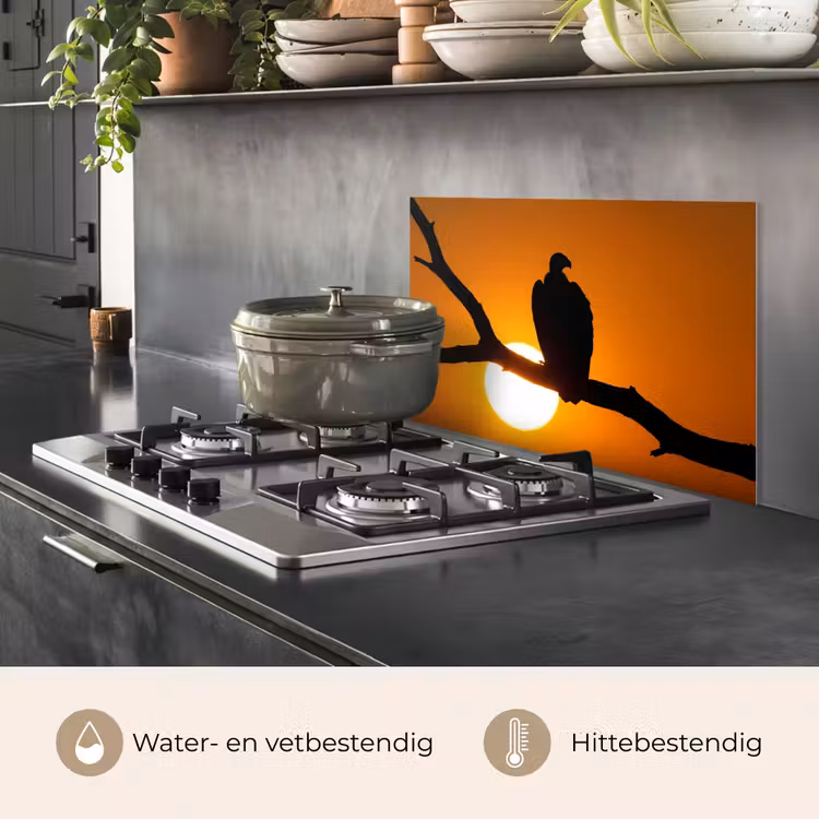 Spatscherm keuken - Gier - Tak - Zon - Oranje — 2
