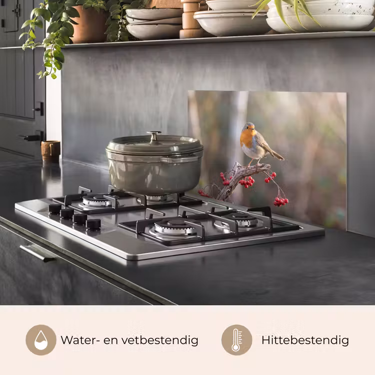Spatscherm keuken - Roodborst - Tak - Bessen - Natuur — 2