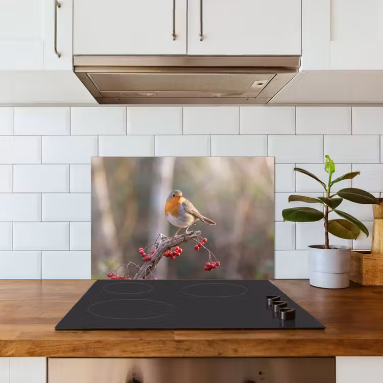 Spatscherm keuken - Roodborst - Tak - Bessen - Natuur — 3