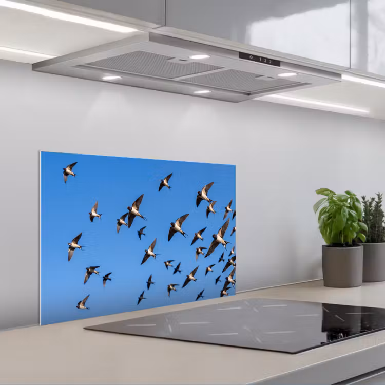 Spatscherm keuken - Zwaluwen - Vliegen - Blauw — 1