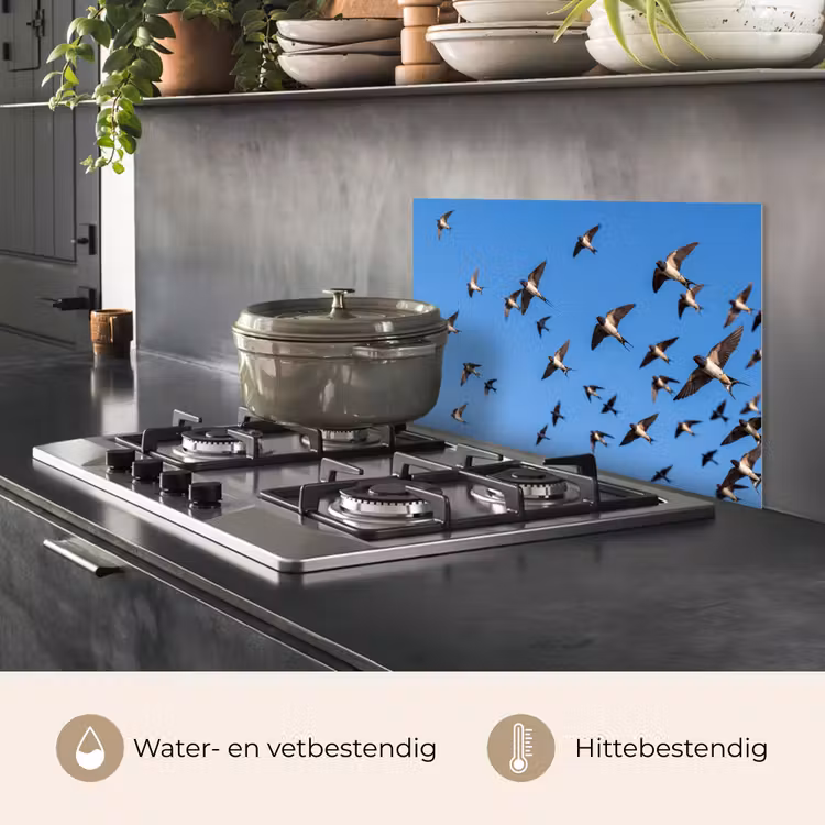 Spatscherm keuken - Zwaluwen - Vliegen - Blauw — 2