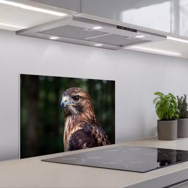 Spatscherm keuken - Buizerd - Roofvogel - Natuur - Bruin — 1