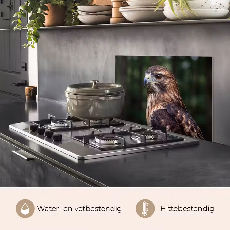 Spatscherm keuken - Buizerd - Roofvogel - Natuur - Bruin — 2