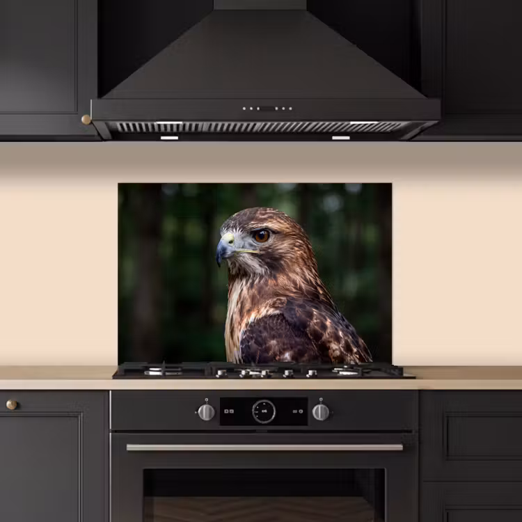 Spatscherm keuken - Buizerd - Roofvogel - Natuur - Bruin — 5