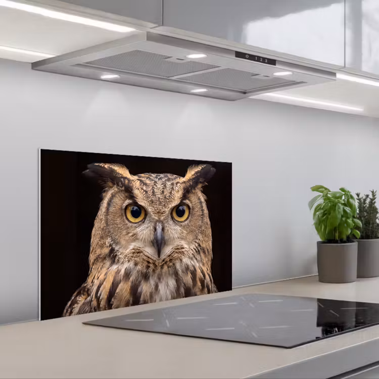 Spatscherm keuken - Oehoe - Uil - Portret - Bruin — 1