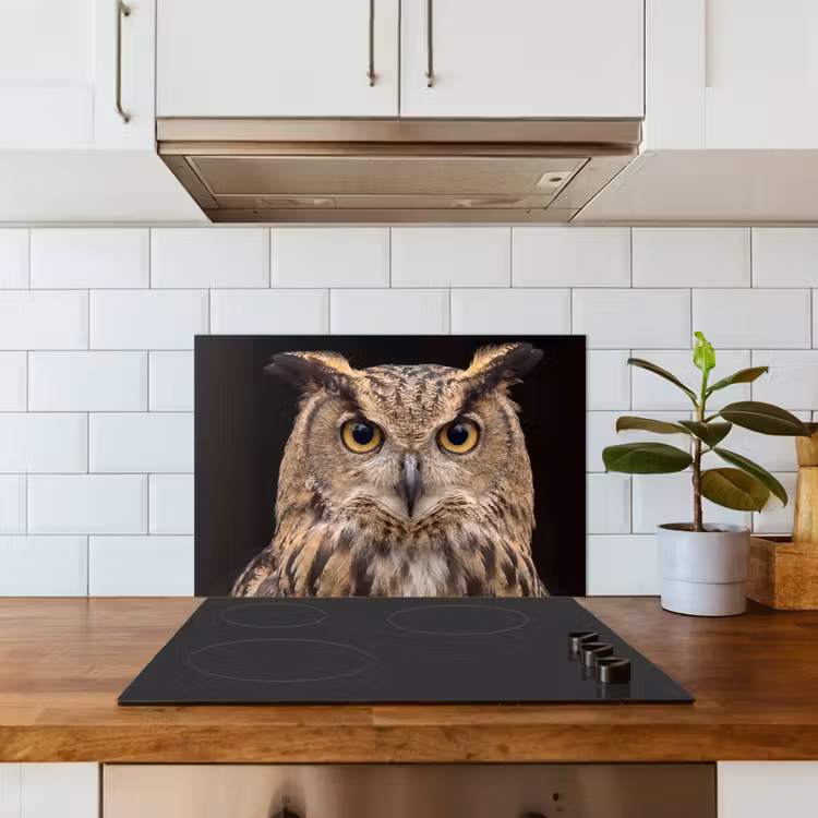 Spatscherm keuken - Oehoe - Uil - Portret - Bruin — 3
