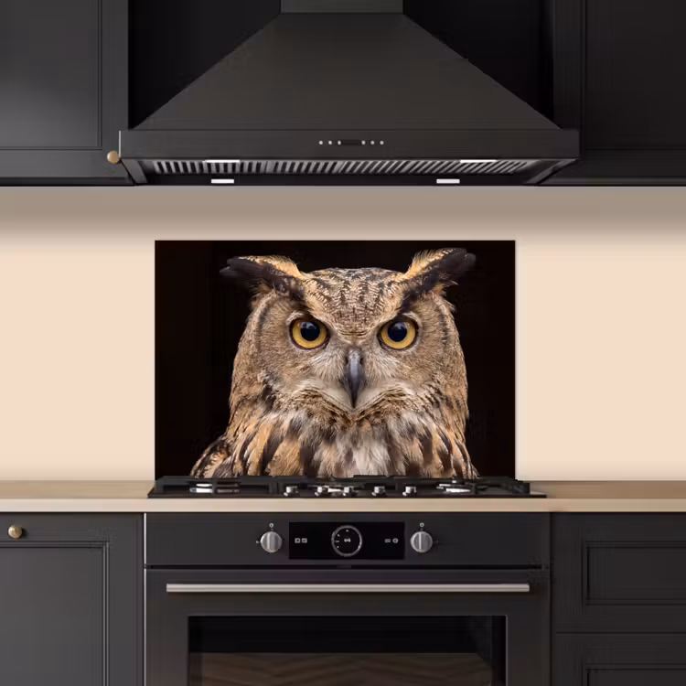 Spatscherm keuken - Oehoe - Uil - Portret - Bruin — 5
