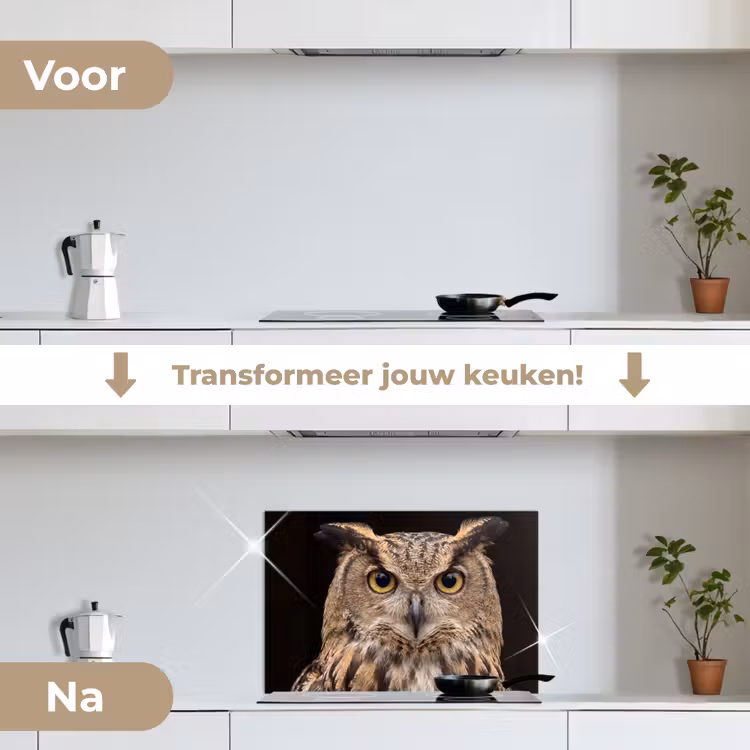 Spatscherm keuken - Oehoe - Uil - Portret - Bruin — 7