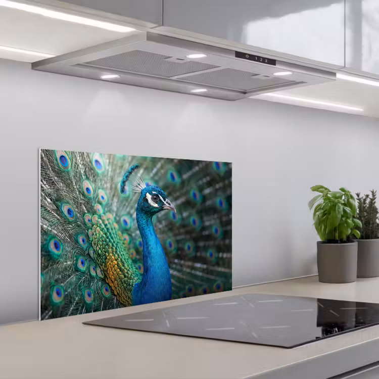 Spatscherm keuken - Pauw - Veren - Blauw — 1