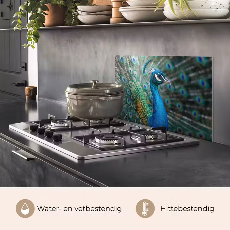 Spatscherm keuken - Pauw - Veren - Blauw — 2