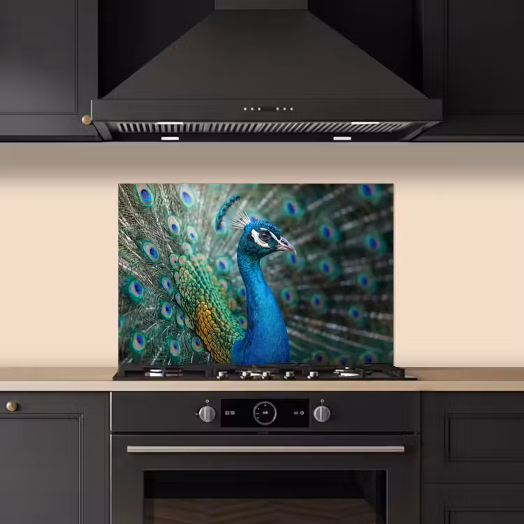 Spatscherm keuken - Pauw - Veren - Blauw — 5