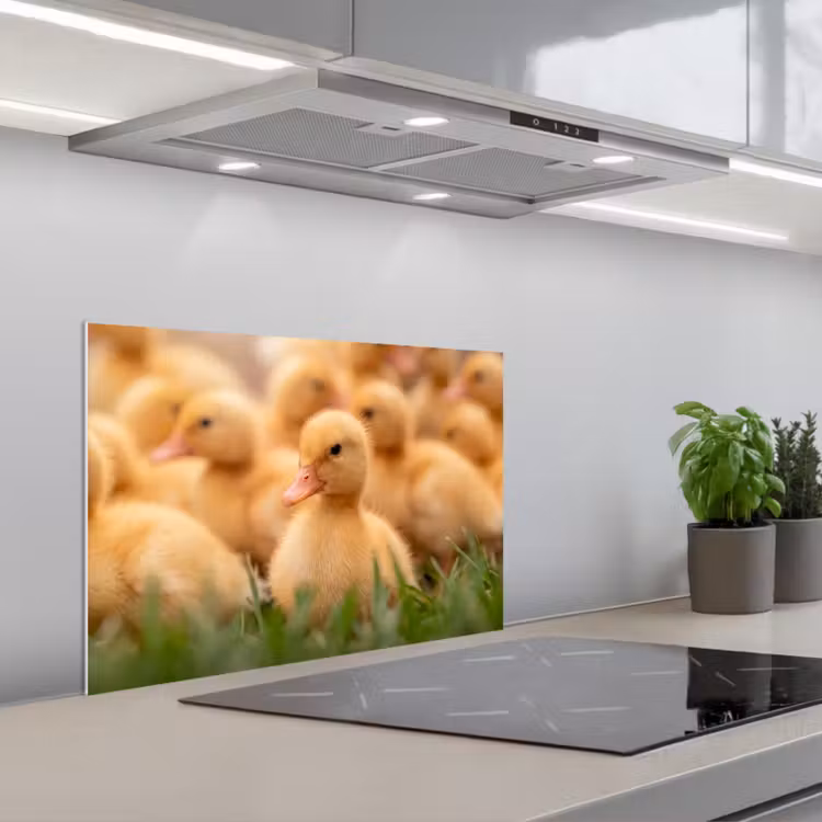 Spatscherm keuken - Pijltje - Eend - Natuur - Geel — 1