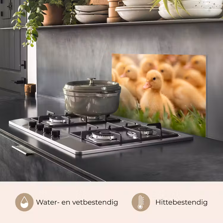 Spatscherm keuken - Pijltje - Eend - Natuur - Geel — 2