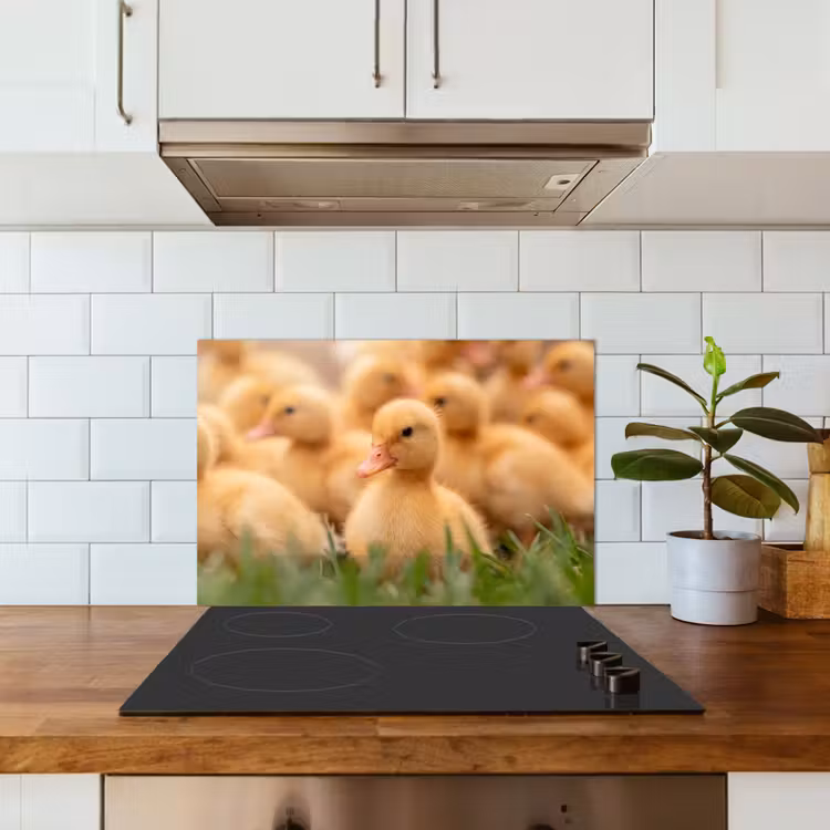 Spatscherm keuken - Pijltje - Eend - Natuur - Geel — 3