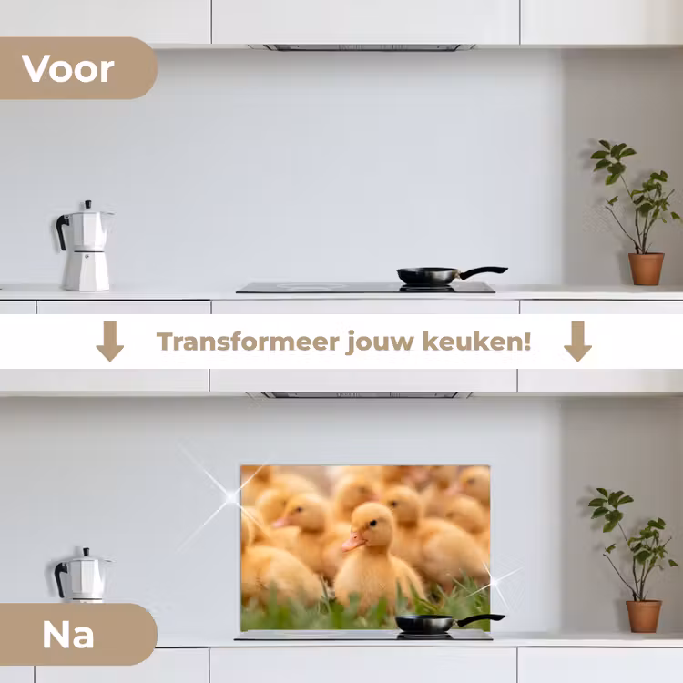 Spatscherm keuken - Pijltje - Eend - Natuur - Geel — 7