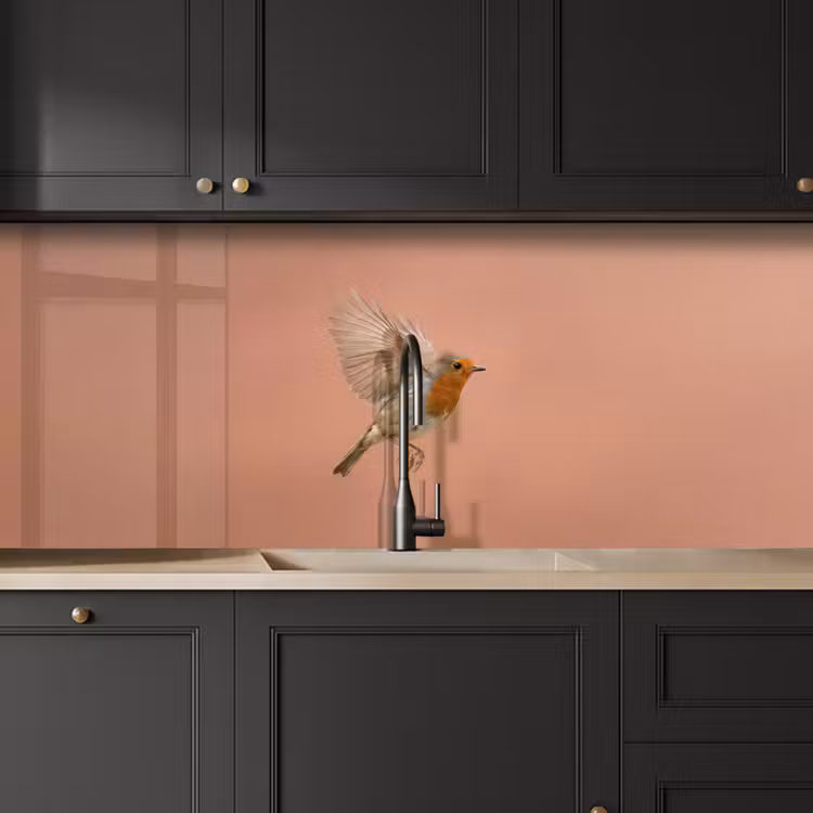 Keuken achterwand - Roodborst - Natuur - Roze — 6