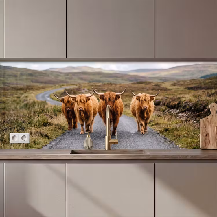 Keuken achterwand - Schotse Hooglanders - Weg - Landschap - Kudde — 1