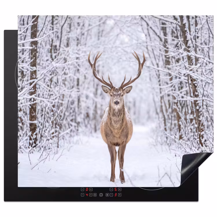 Inductie beschermer - Hert - Winter - Bos - Natuur - Wit — 1
