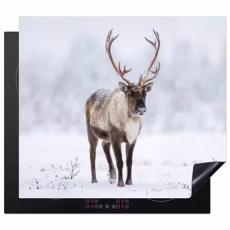 Inductie beschermer - Rendier - Gewei - Toendra - Sneeuw - Wild — 1