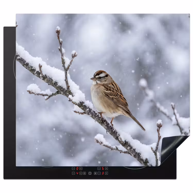 Inductie beschermer - Vogel - Tak - Sneeuw - Winter — 1